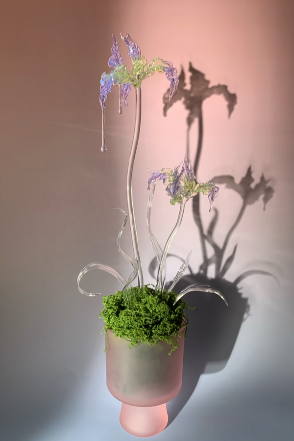 Celestia Dew