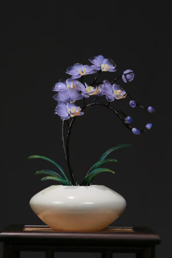 Moonlit Orchid