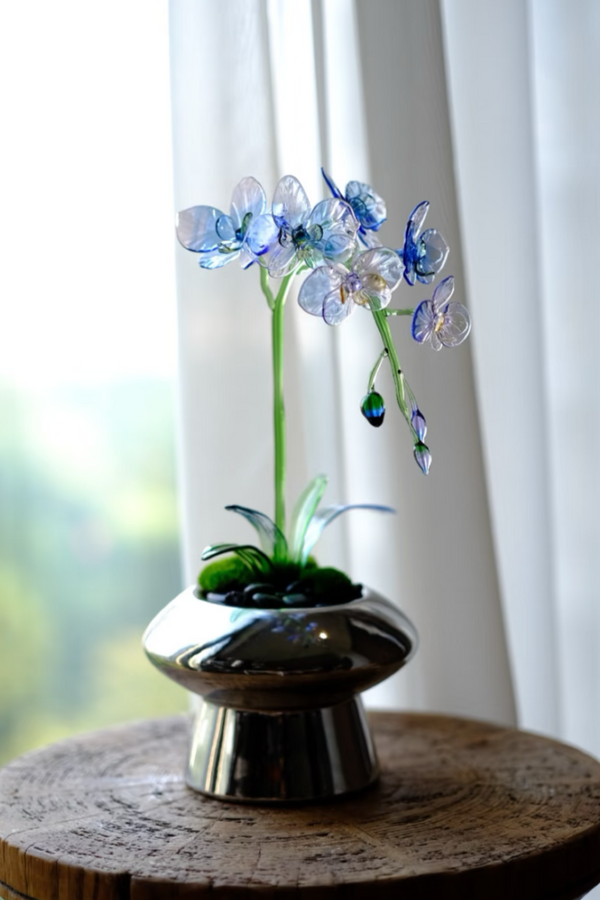 Celeste Orchid