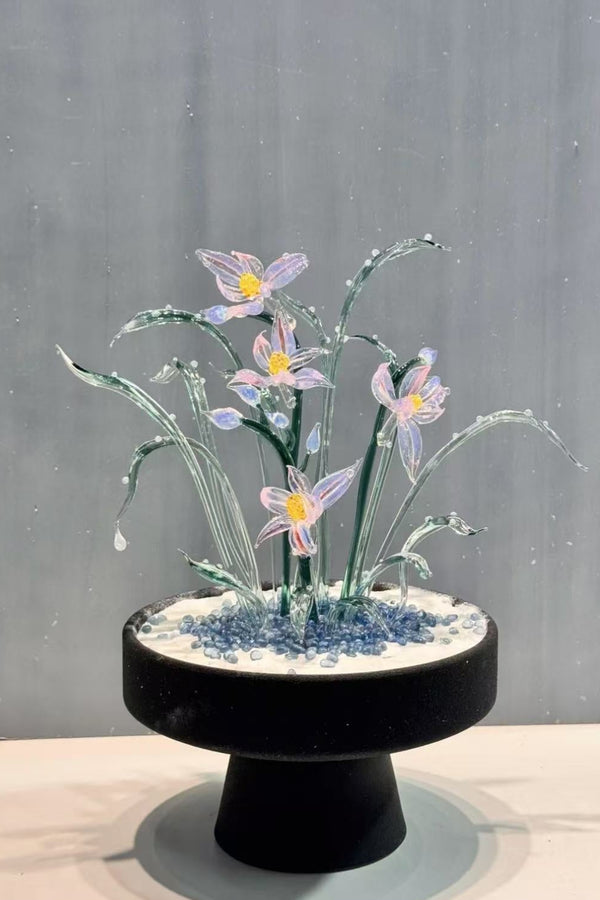 Aurora Daffodil